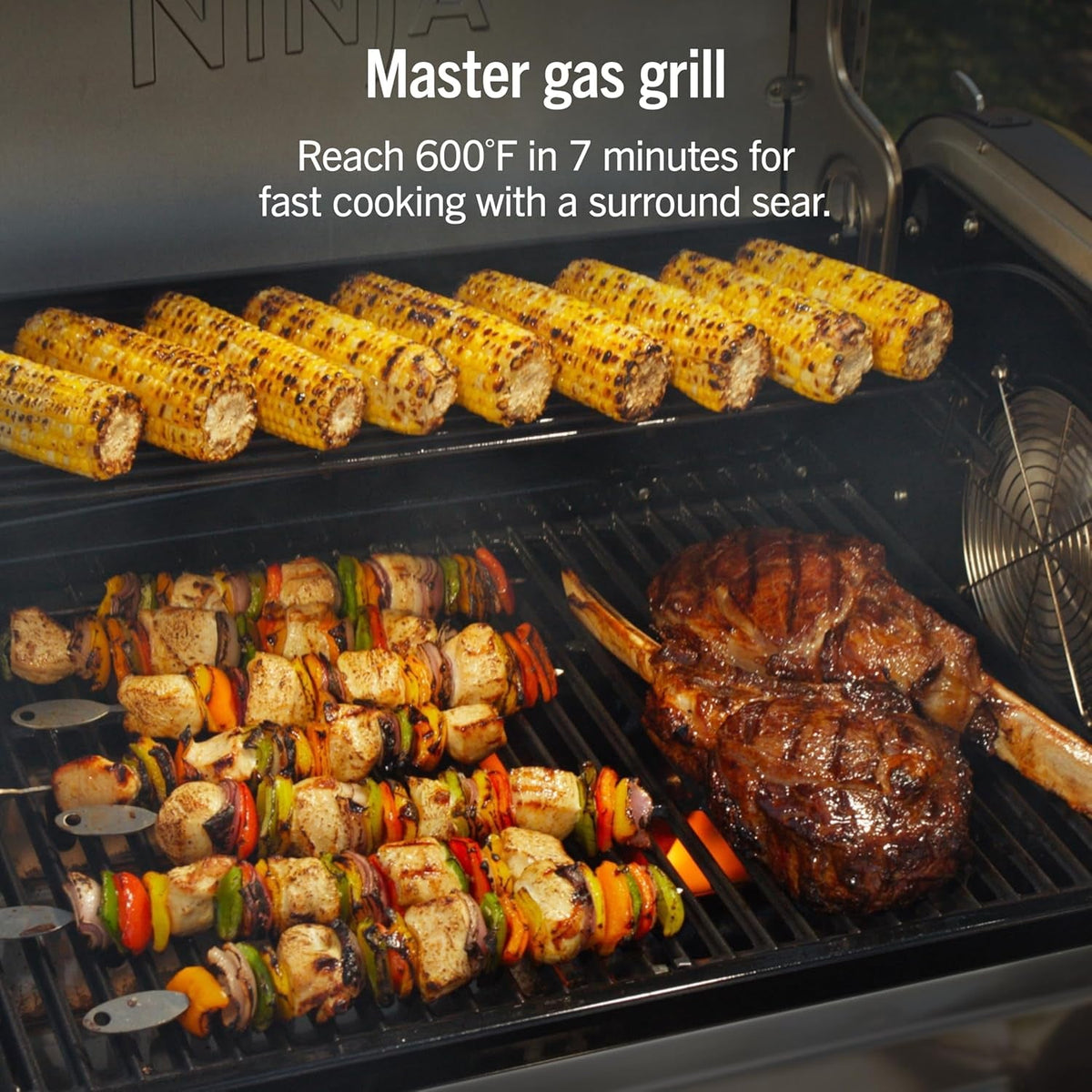 Premium Grill & Smoker | 5-In-1 Smart Cooking System Electric & Propane App-Connected - Digital Roast, Griddle & Pizza Maker