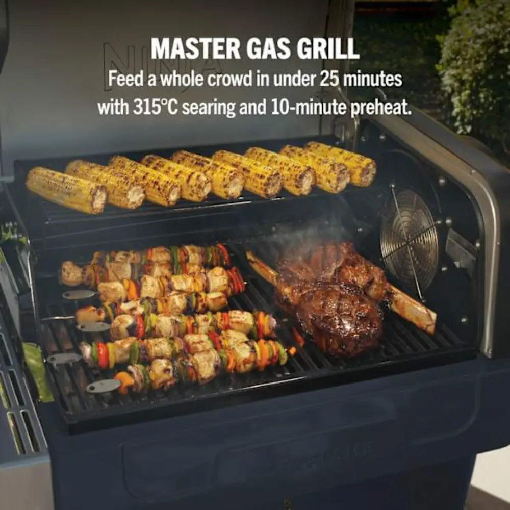 Ninja FlexFlame Gas BBQ and Outdoor Cooking System - Blue | PG301UKBL